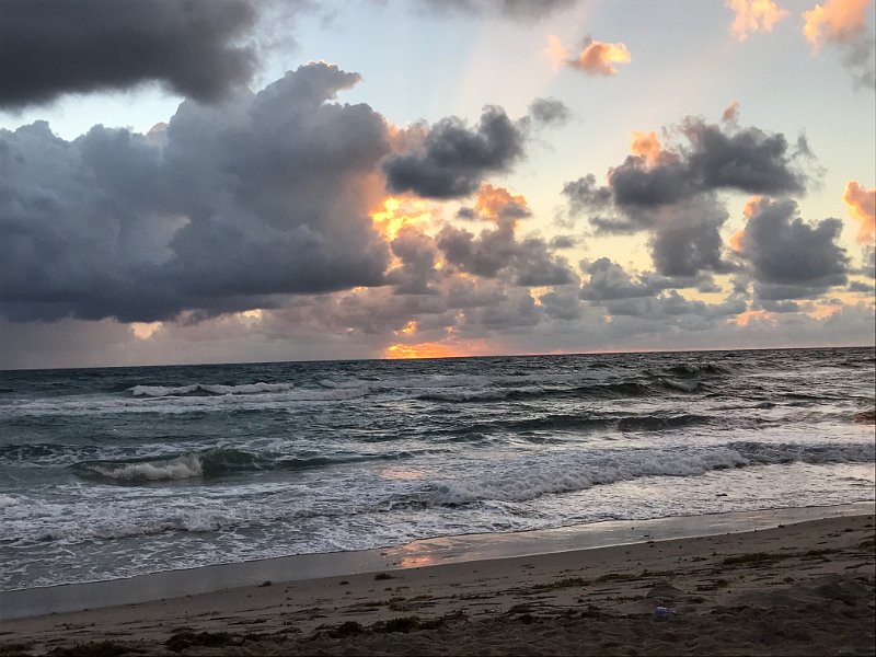 Florida Dec 2016 0262