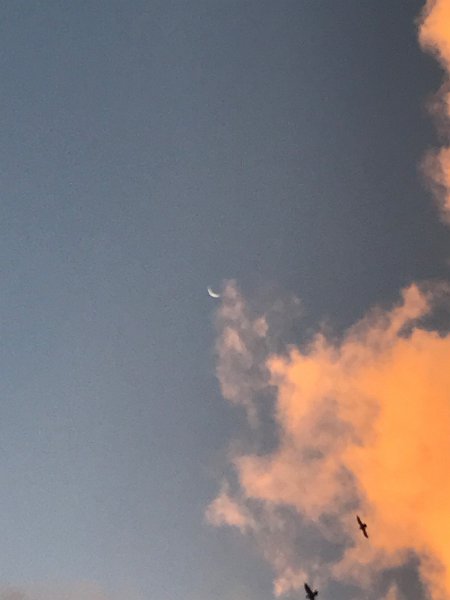 Florida Dec 2016 0265