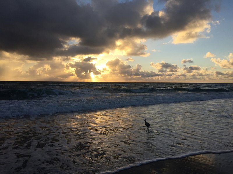 Florida Dec 2016 0271