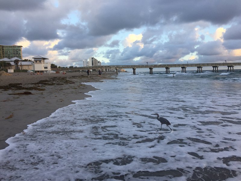 Florida Dec 2016 0272
