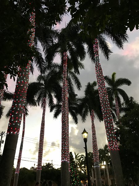 Florida Dec 2016 0339