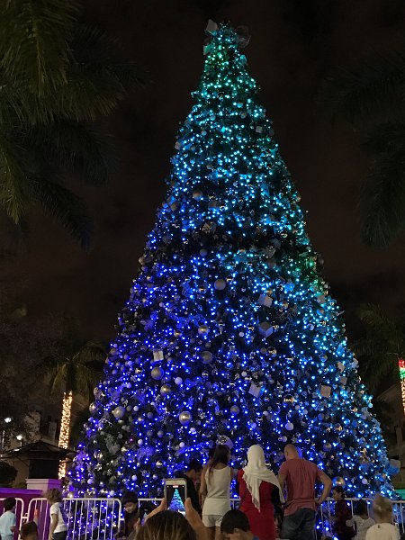 Florida Dec 2016 0346