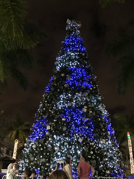 Florida Dec 2016 0347