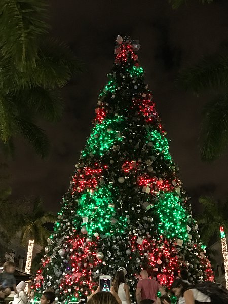 Florida Dec 2016 0348