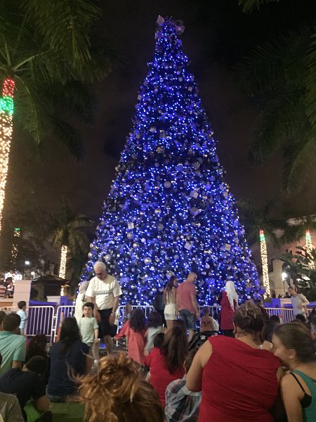 Florida Dec 2016 0349
