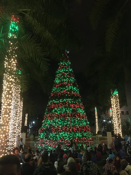 Florida Dec 2016 0352