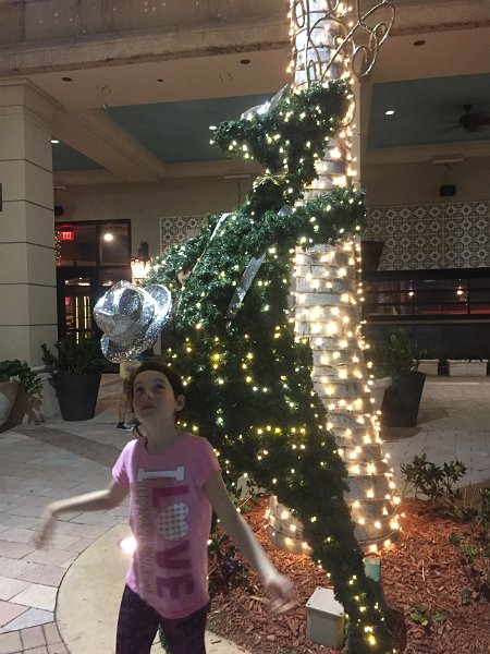 Florida Dec 2016 0354