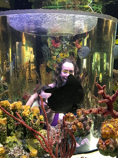 Florida Dec 2016 0363