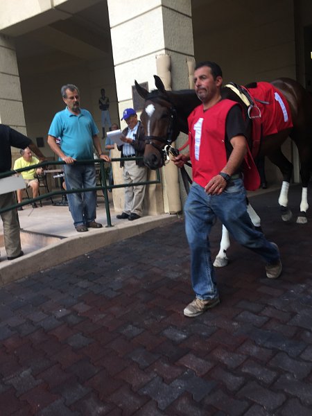 Florida Dec 2016 0501