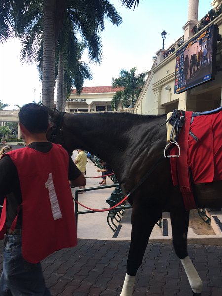 Florida Dec 2016 0502