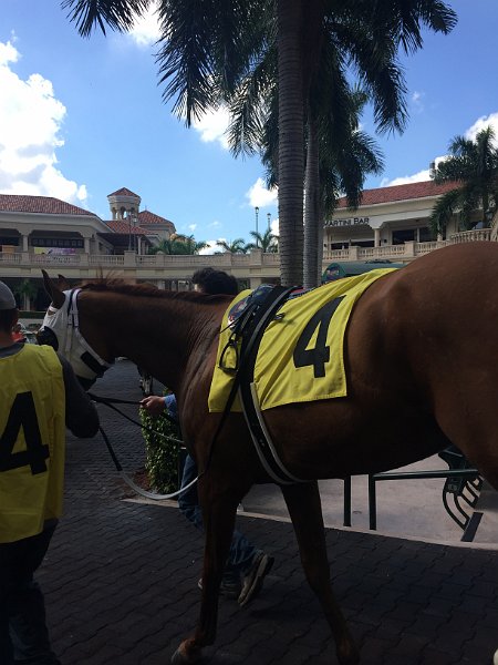 Florida Dec 2016 0504