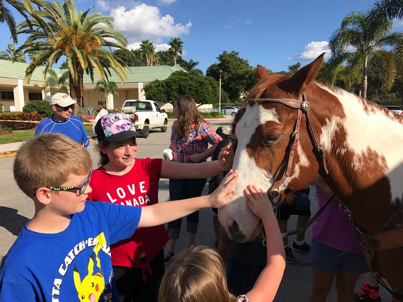 Florida Dec 2016 0515