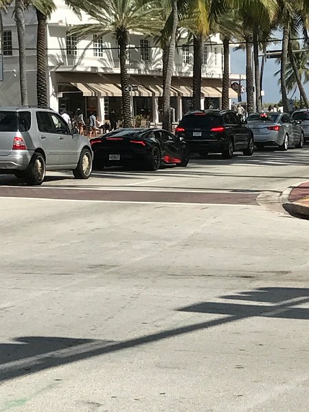 Florida Dec 2016 0659