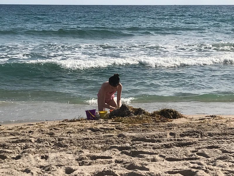 Florida Dec2017 0043