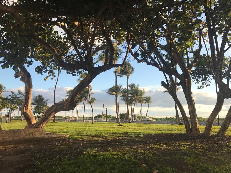 Florida Dec2017 0095