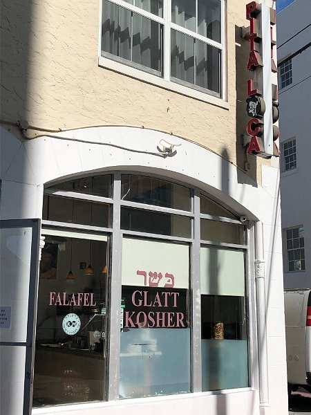 Florida Dec2017 0110