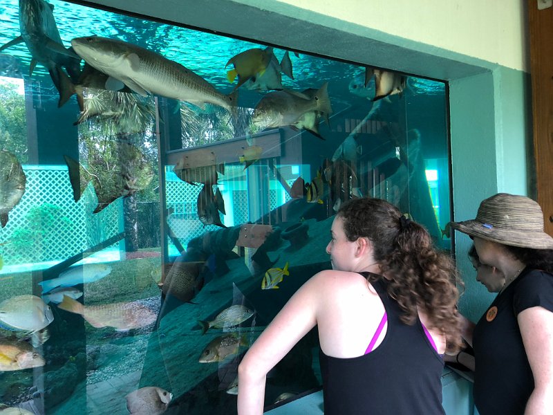 Florida Dec2017 0182