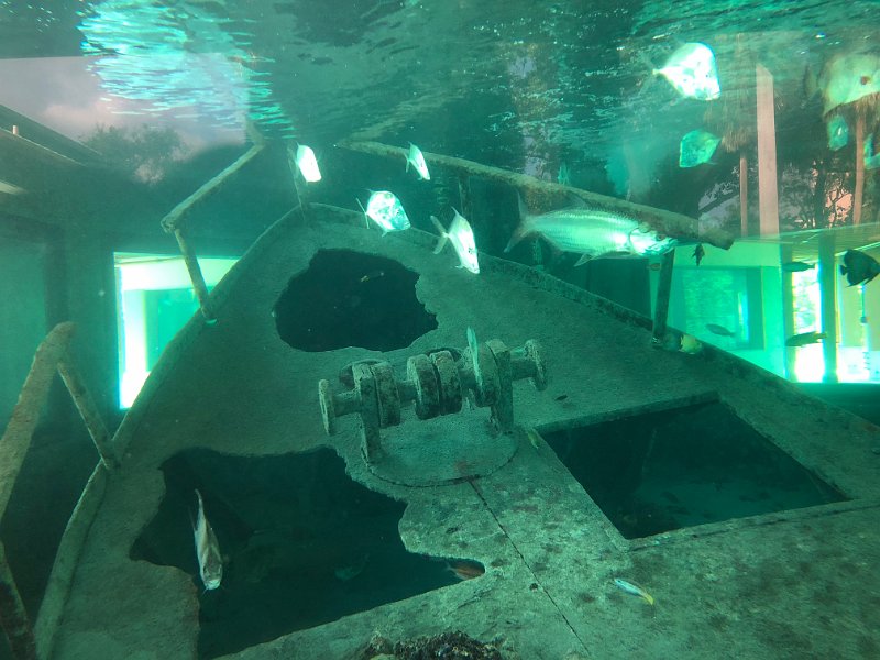 Florida Dec2017 0183