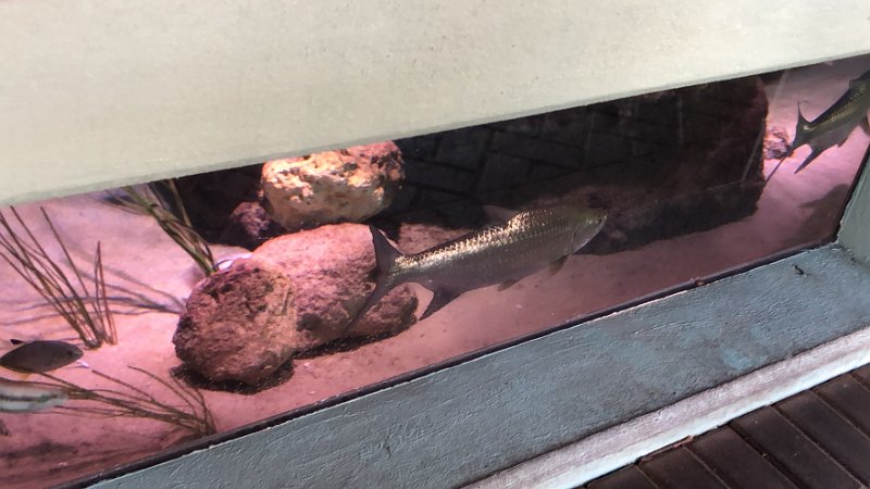 Florida Dec2017 0186