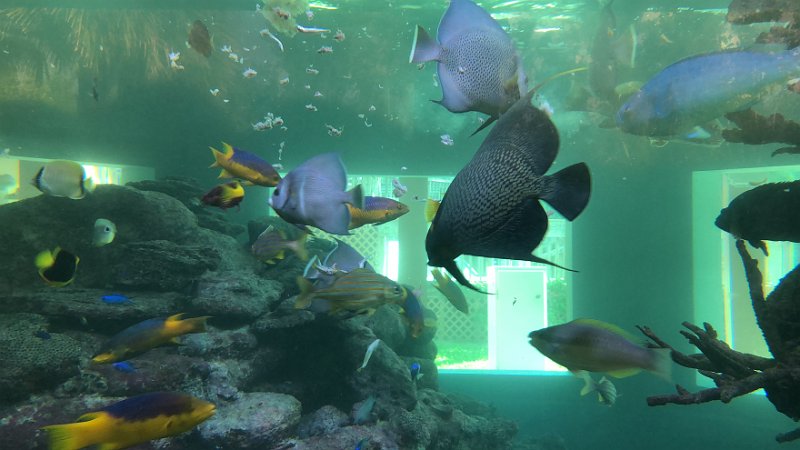 Florida Dec2017 0187