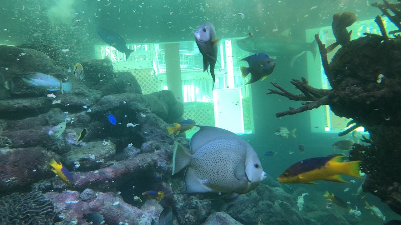 Florida Dec2017 0189