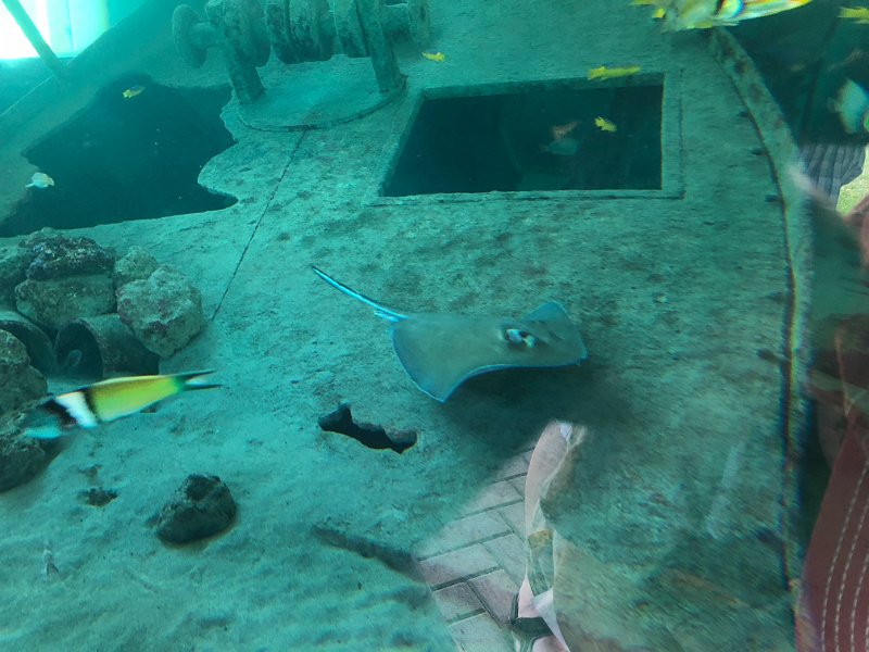 Florida Dec2017 0193