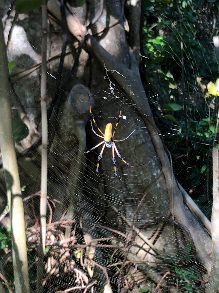 Florida Dec2017 0197