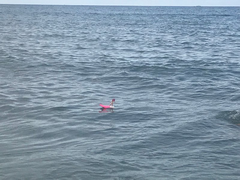 Florida Dec2017 0234