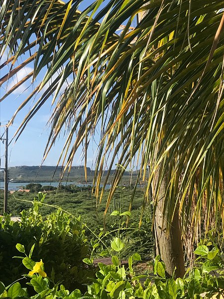 Curacao Dec2018 0010