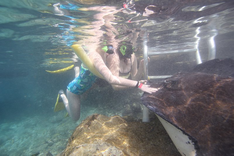 Curacao Dec2018 0049
