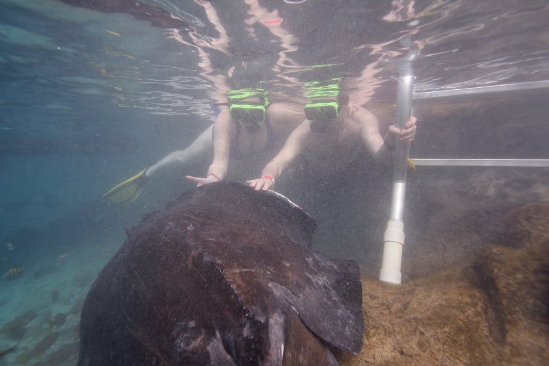 Curacao Dec2018 0054