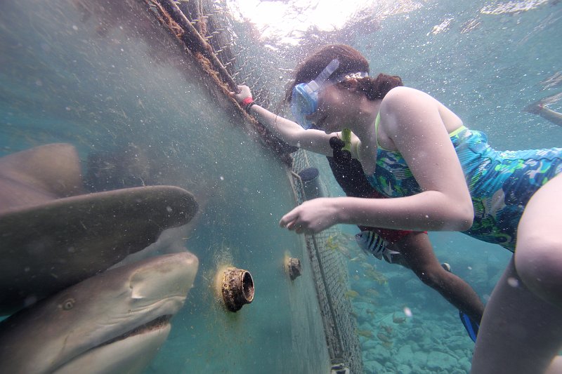Curacao Dec2018 0077