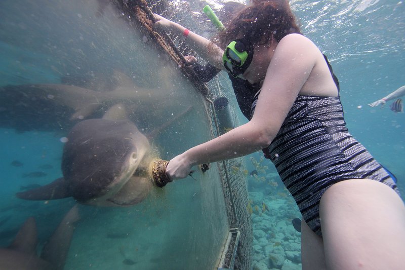 Curacao Dec2018 0078