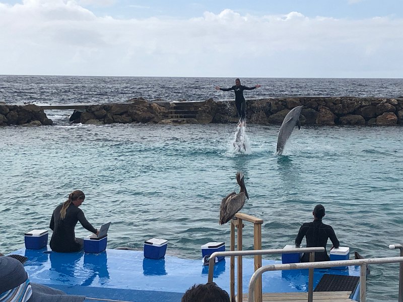 Curacao Dec2018 0083