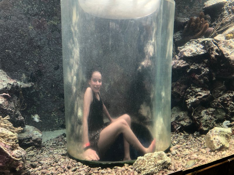Curacao Dec2018 0087