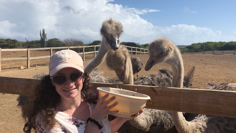 Curacao Dec2018 0211