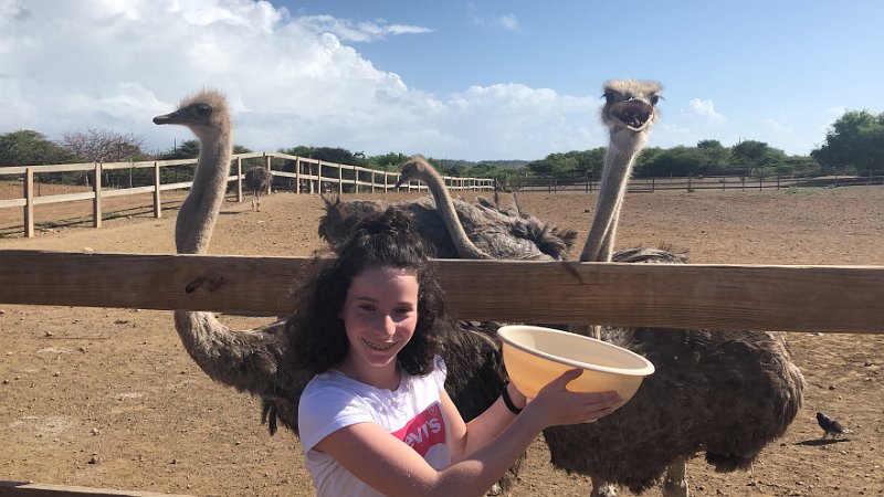 Curacao Dec2018 0214