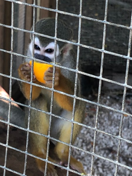 Curacao Dec2018 0231