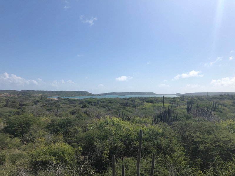 Curacao Dec2018 0240