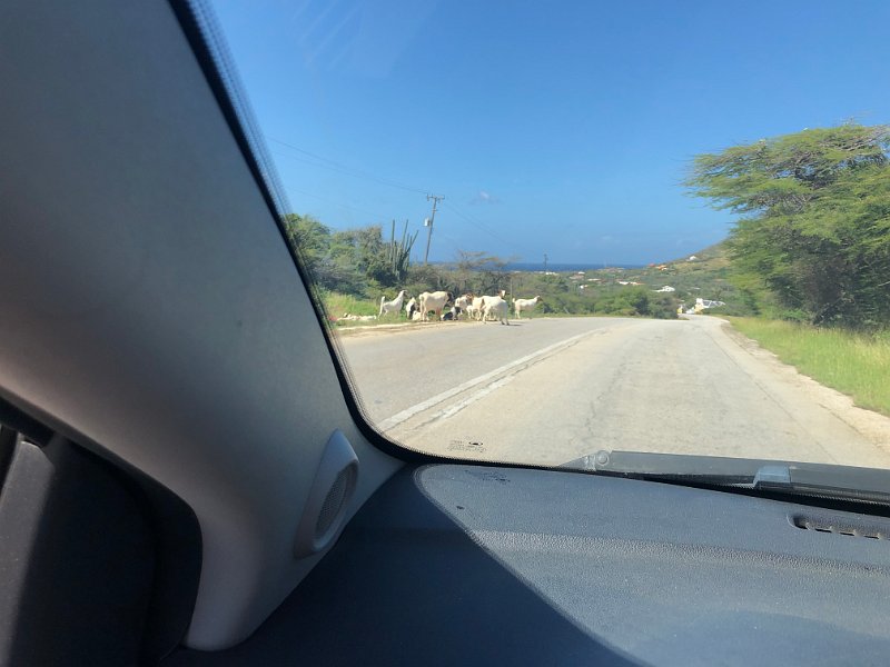 Curacao Dec2018 0280