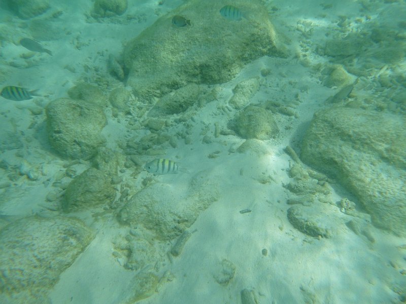 Curacao Dec2018 0293