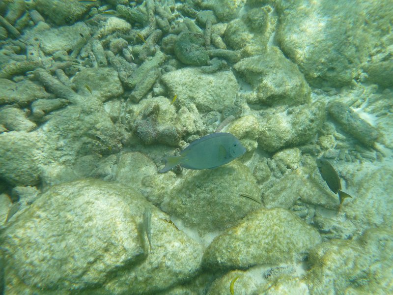 Curacao Dec2018 0294