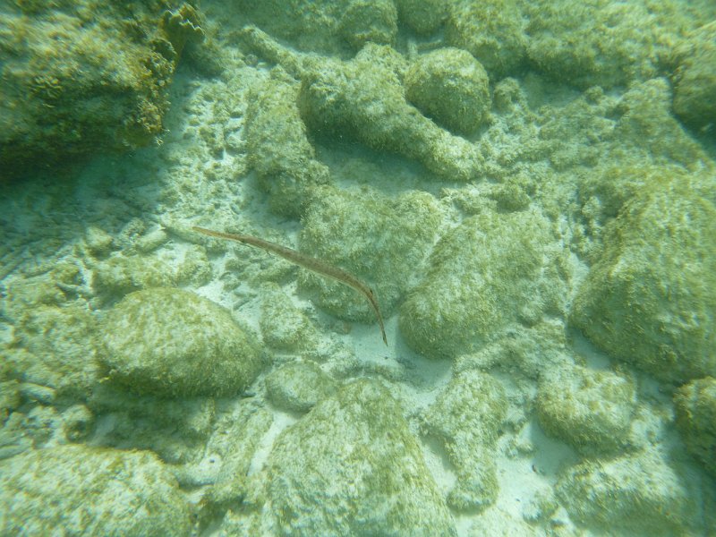 Curacao Dec2018 0295