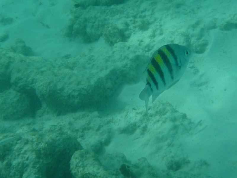 Curacao Dec2018 0296
