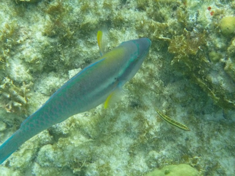 Curacao Dec2018 0299