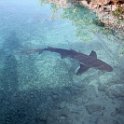Curacao Dec2018 0037
