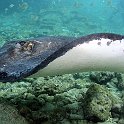Curacao Dec2018 0039