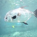 Curacao Dec2018 0044