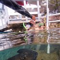 Curacao Dec2018 0052