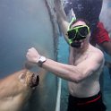Curacao Dec2018 0063
